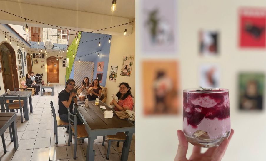 Katze Cat & Coffee House, un espacio único para amantes del café y los gatos en Quetzaltenango