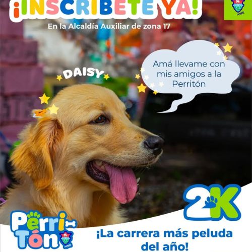 La Carrera de perros 2024 de la Municipalidad de Guatemala
