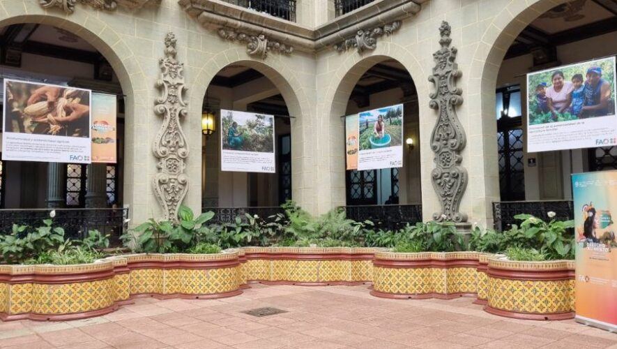 Exposici&oacute;n fotogr&aacute;fica 2024 &laquo;Derecho a los alimentos&raquo; en Guatemala