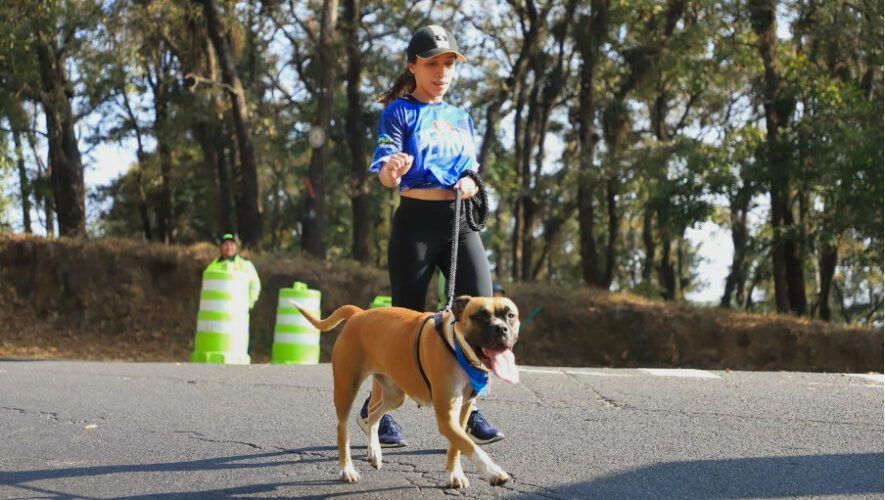 Pet Run 2024, carrera de mascotas en Guatemala