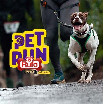 Pet Run 2024 de Rufo Pro, carrera de mascotas en Guatemala