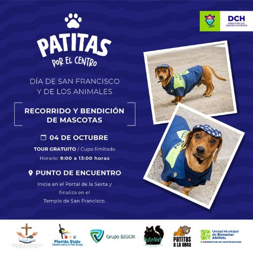 Recorrido de mascotas por el Centro Histórico