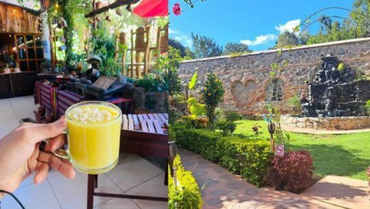 Restaurante La Galerita
