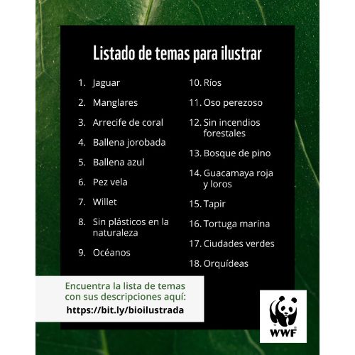 Reto Biodiversidad ilustrada de WWF en Guatemala