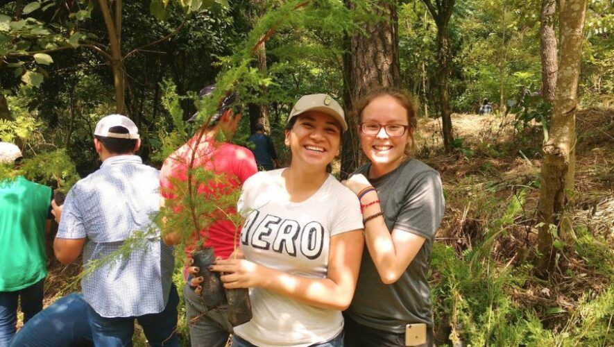 Voluntariado en el Parque Naciones Unidas 2024