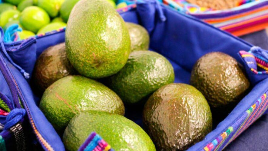 El aguacate Hass de Guatemala llegará a Estados Unidos