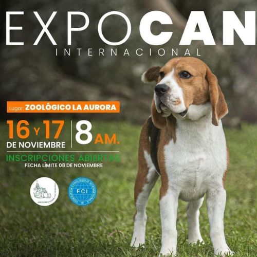 La ExpoCan Internacional 2024 en Guatemala