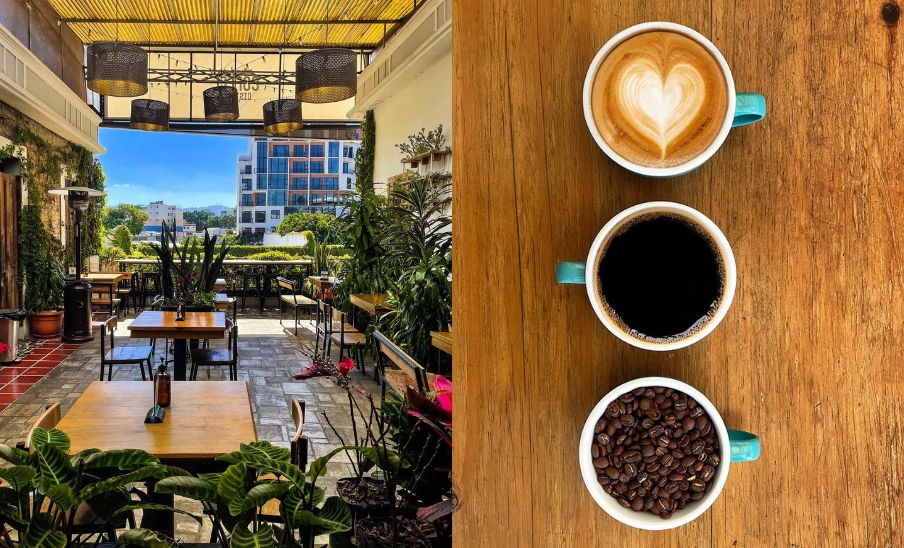 Coffee District, especializado en café guatemalteco en 4 Grados Norte