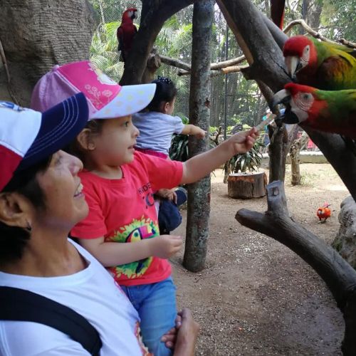 Un Desfile de aniversario en Zoológico La Aurora 2024