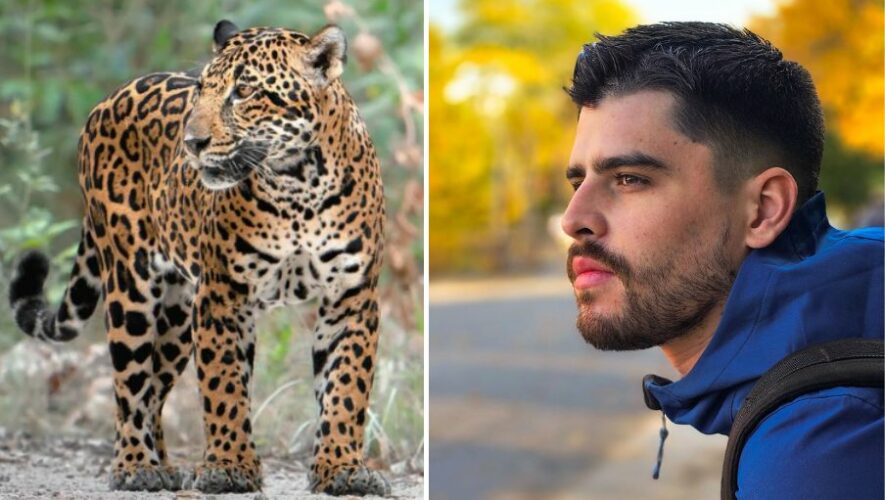 Andrés Novales fue destacado en un medio internacional de Chile