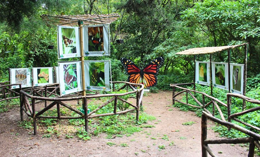 Atracciones naturales de la Ciudad de Guatemala