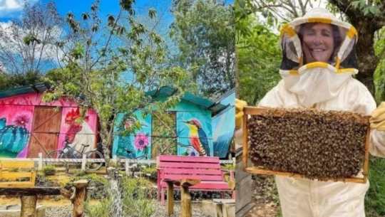 Bee Cabañas