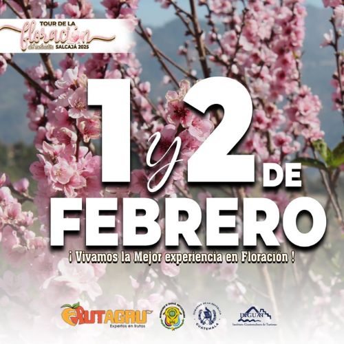 El Tour de Floración del Melocotón 2025 en Salcajá