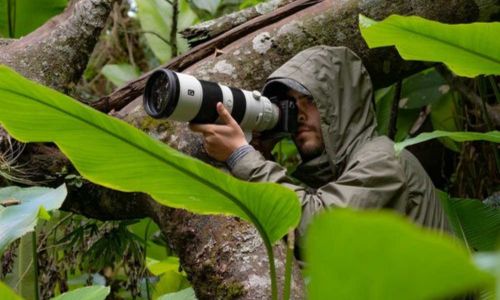 Fotógrafo Andrés Novales destacado en un medio internacional de Chile