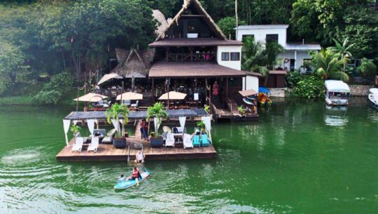 Raíces del Lago