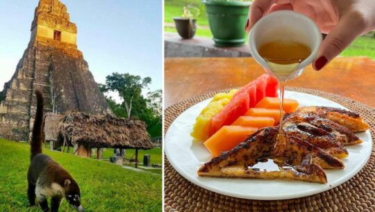 Restaurante y Bar Del Parque, ubicado dentro de Tikal en Petén