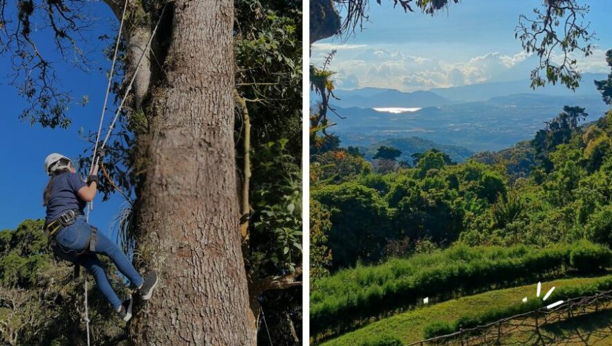 Vista Árbol San Agustín Bike Park