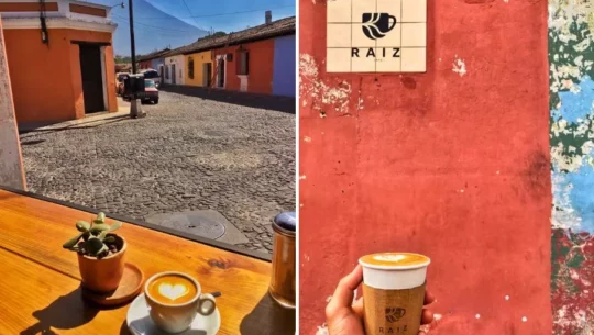 Café Raíz
