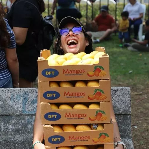 El Sexto Festival del Mango en Guatemala 2025