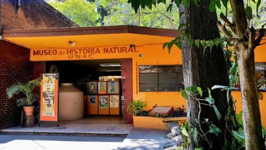 Museo de Historia Natural USAC