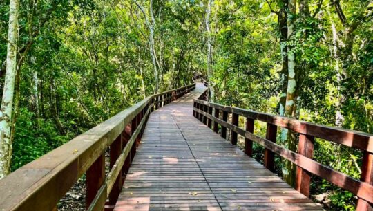 Parque Arqueológico Tayasal