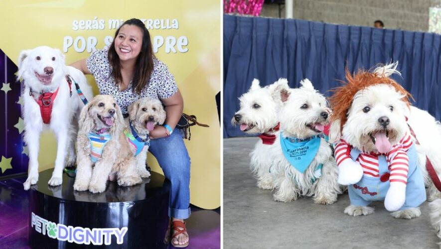 Pet Fest 2025 en Guatemala