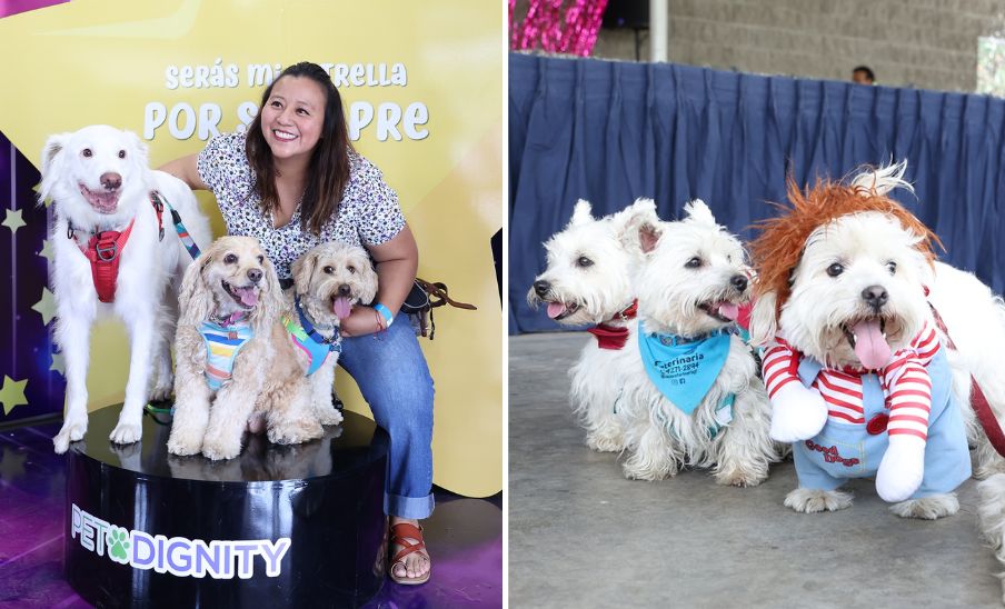 Pet Fest 2025 en Guatemala