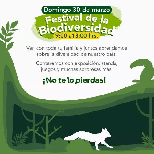 El Festival de la Biodiversidad 2025 en Guatemala