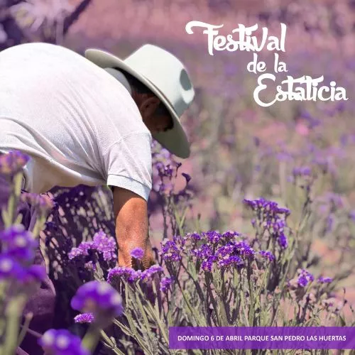 El Festival de la Estaticia 2025 en Guatemala