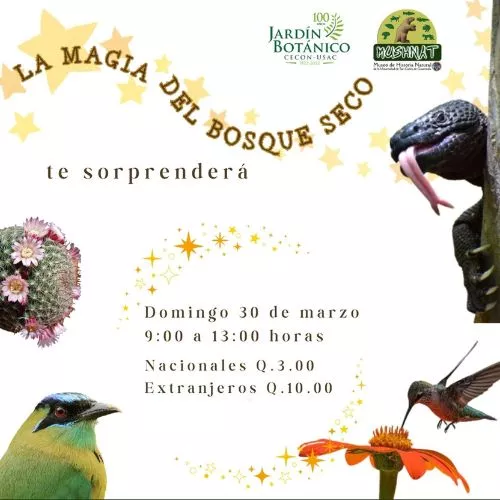 El Taller sobre El Bosque Seco en Guatemala 2025