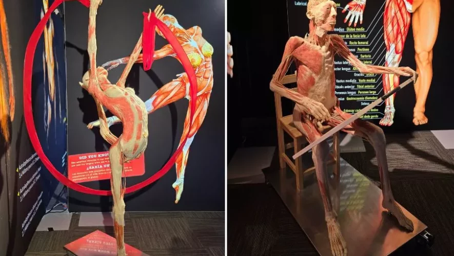 Exposici&oacute;n Bodies en Museo Miraflores 2025