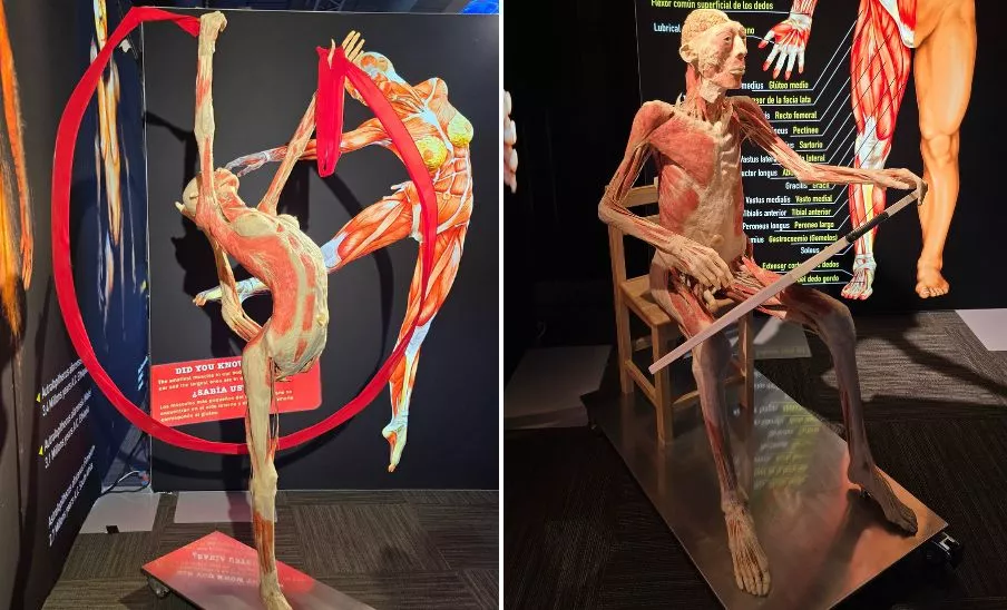 Exposición Bodies en Museo Miraflores 2025 Guatemala