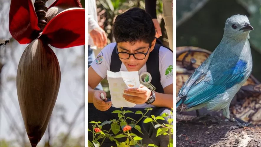 Festival de la Biodiversidad 2025 en Guatemala