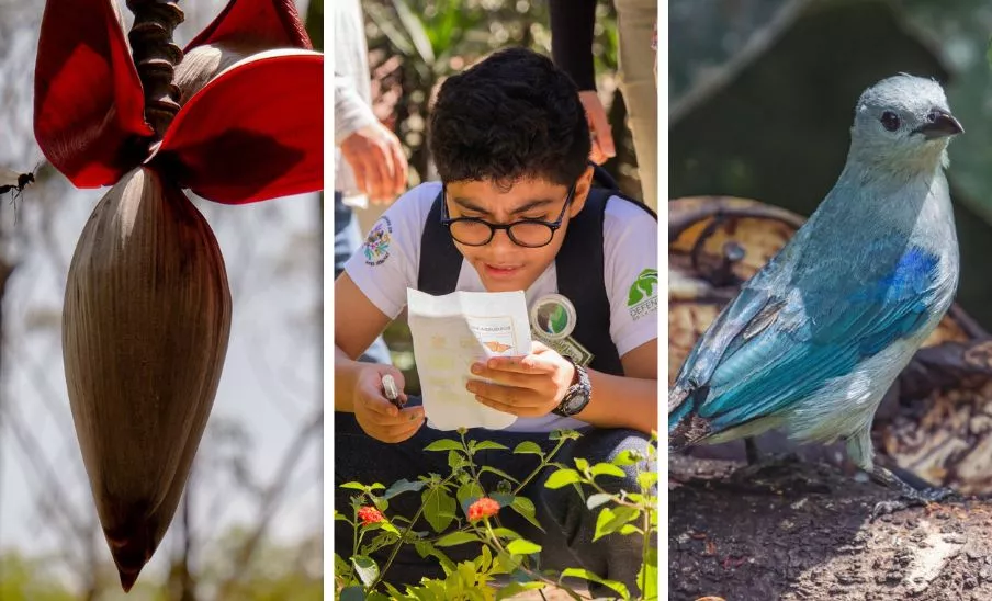 Festival de la Biodiversidad 2025 en Guatemala