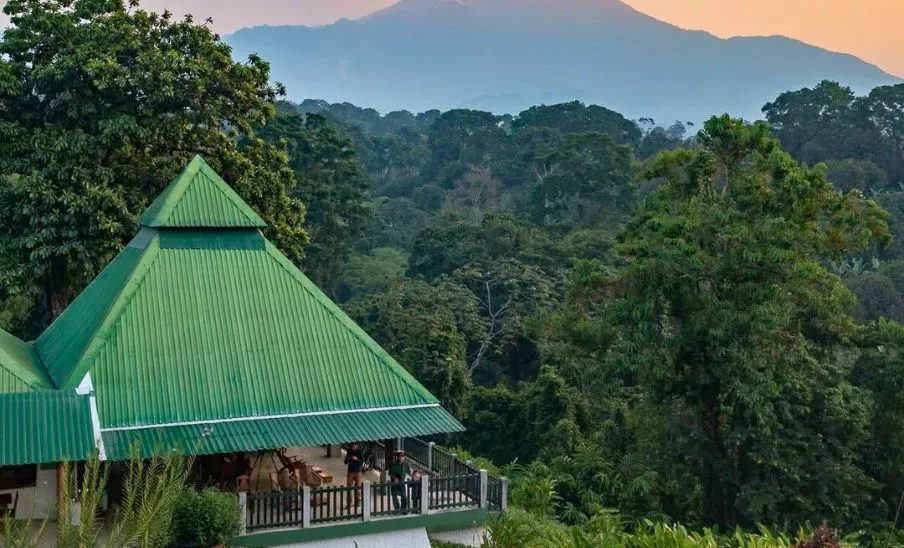 Patrocinio Lodge, hospedaje dentro de una reserva natural