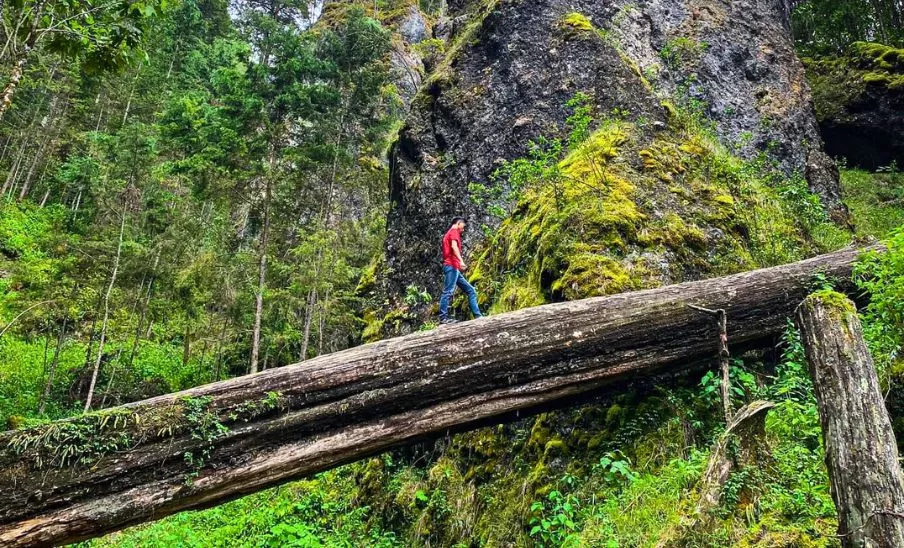 Sendero Ecológico La Maceta, un destino para caminar en el bosque de Huehuetenango