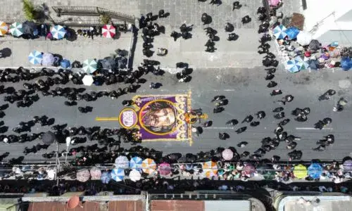 Alfombra de la Abuelita Colectivo Chucho Callejero cumplió 10 años