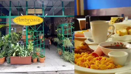 Ambrosía Café en Guatemala