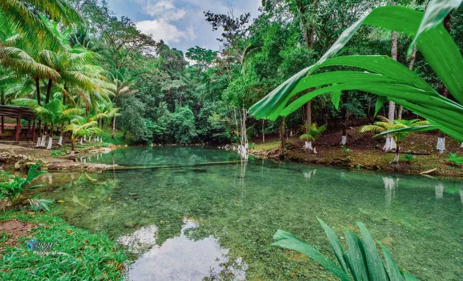 Balneario El Abuelo, un destino acuático para disfrutar de la naturaleza