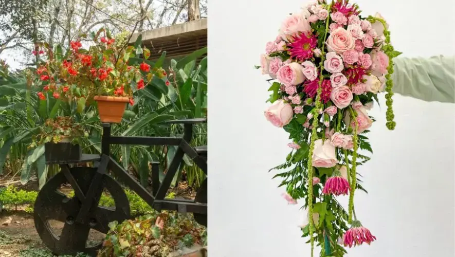 Feria de las Flores 2025 en Cerrito del Carmen