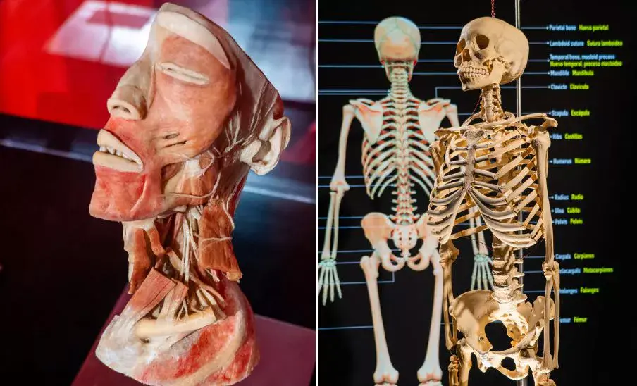 La Exposición Bodies en Xela 2025