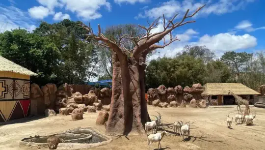 Zoológico La Aurora remodeló la Sabana Africana abril 2025