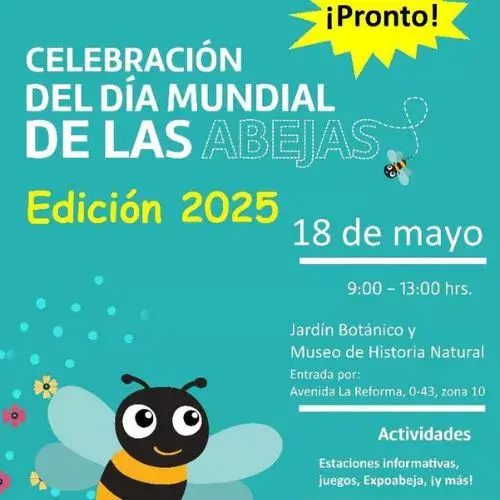 Día de las Abejas 2025 en Museo de Historia Natural
