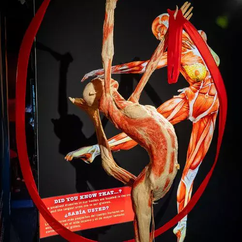 Exposición Bodies por primera vez en Quetzaltenango 2025