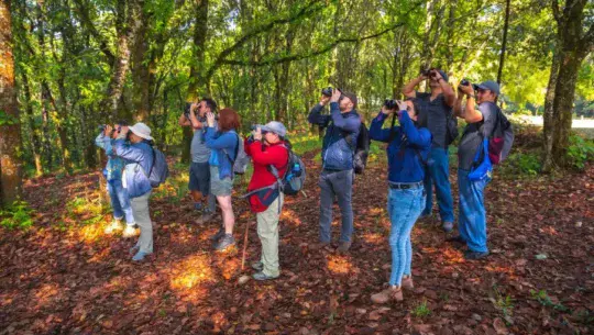 Lugares para observar aves en Guatemala