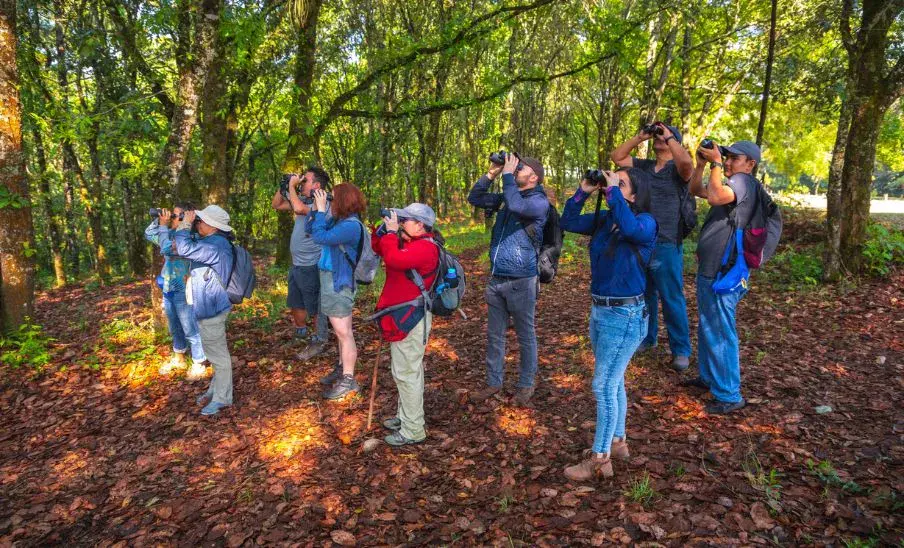 Lugares para observar aves en Guatemala
