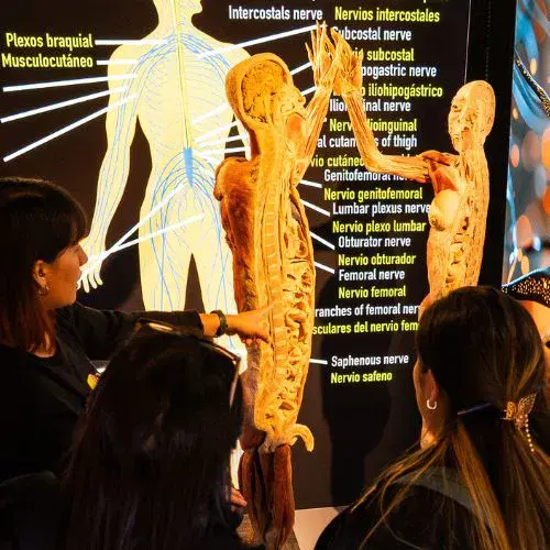 Una Exposición Bodies por primera vez en Quetzaltenango