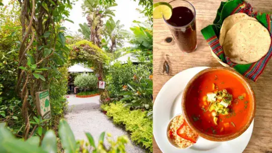 Vivero y Café La Escalonia