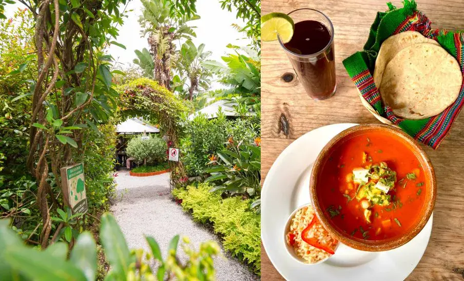 Vivero y Café La Escalonia, un espacio lleno de flores en La Antigua Guatemala