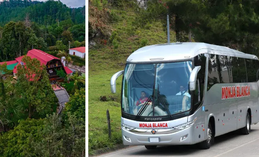buses a cobán